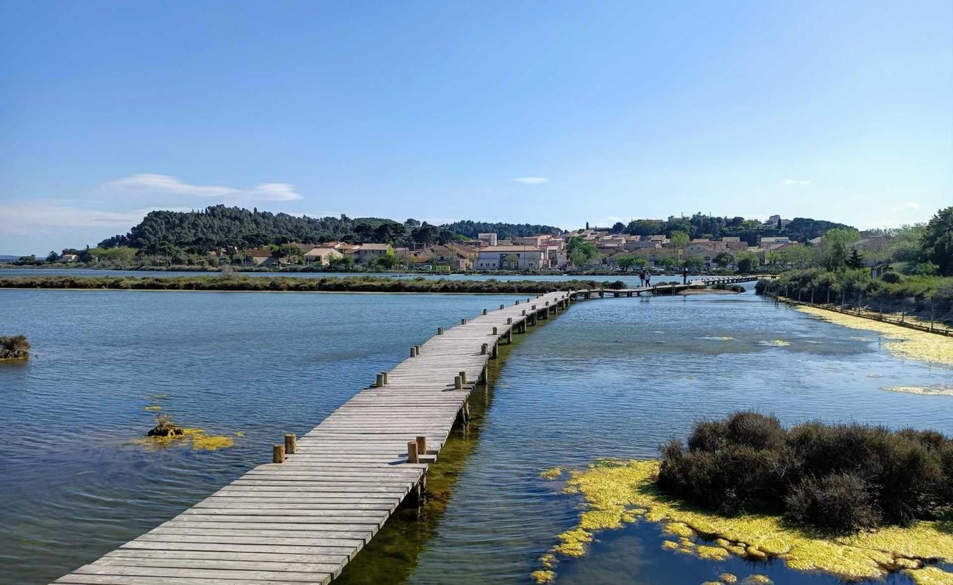 Hébergement de vacances La Lagune Avec Vue