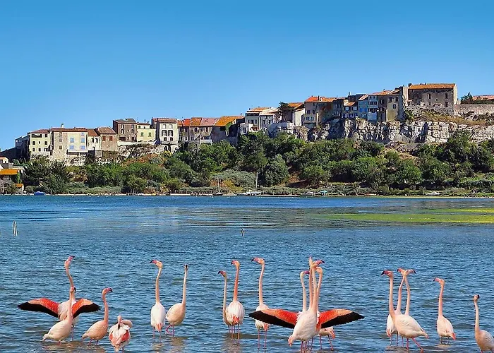 Lalagunebages, Panoramic View